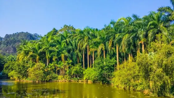 滴水巖森林公園
