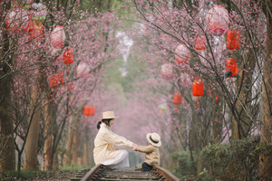 南京游记图文-天晴姐步履不停之-2023年的第一场旅行，在溧水邂逅春天