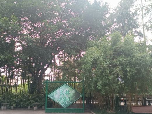 长林公园(跃进路)