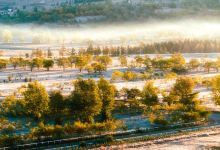 千松坝国家森林公园景点图片