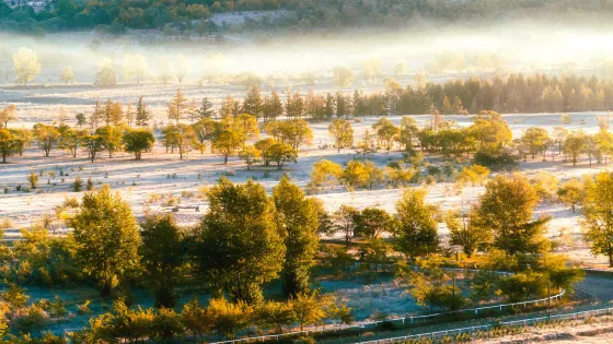 千松壩森林公園