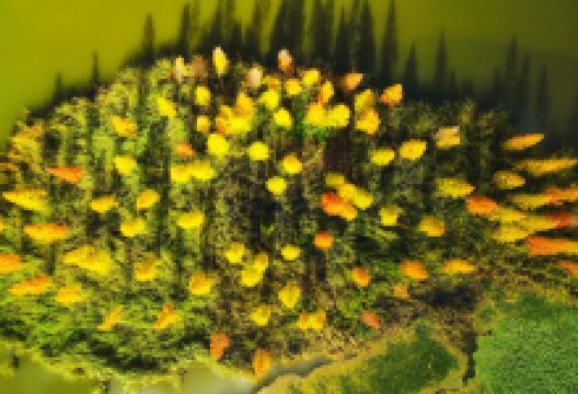 宝丰半岛湿地公园景点图片