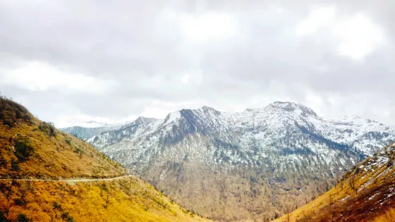 碧羅雪山