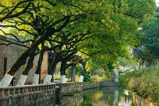 天一阁·月湖景区-宁波