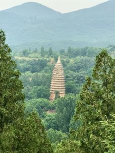 嵩阳景区-登封-听足音