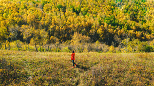 克什克腾旗游记图文-和爱卡“趣”野，自驾克什克腾“艳遇”九月金秋