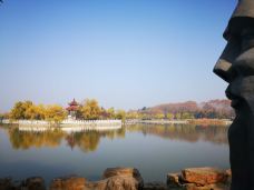 龙湖公园-淮南-志明的飞碟