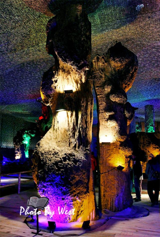 杜鹃王古木文化博览园旅行图片 6