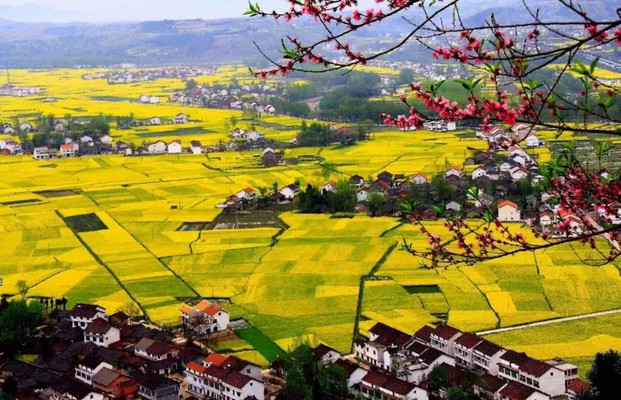 住陕南最美民宿青舍客栈，赏花、观景一站式
