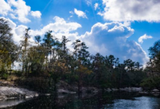Tasik Melati Recreational Park (Melati Lake)景点图片