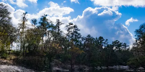 Tasik Melati Recreational Park （Melati Lake）