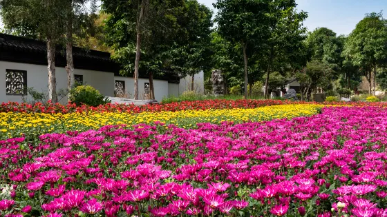 南寧市花卉公園