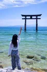 日本游记图片] 夏日撒欢 日本滋贺琵琶湖环湖自驾游（彦根城、佐川美术馆、水杉林荫道、白须神社、琵