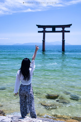 夏日撒欢 日本滋贺琵琶湖环湖自驾游（彦根城、佐川美术馆、水杉林荫道、白须神社、琵