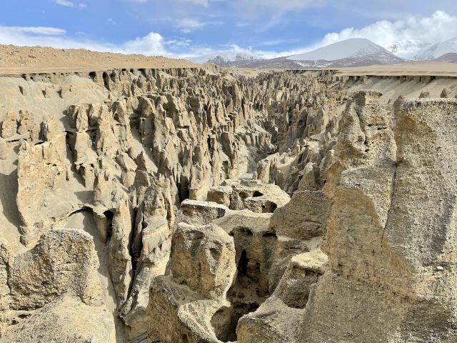 札达土林旅行图片 3