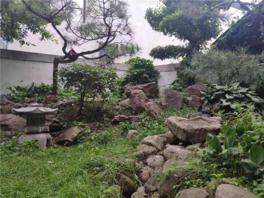 西郊山林休闲养生度假公园