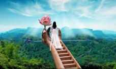 新兴天露山旅游度假区-新兴-C-IMAGE