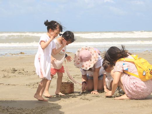 北海高沙港赶海