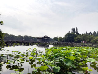 2021年苏、沪、杭四日游