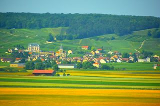 走进法国巴黎感受浪漫花都的魅力（图）