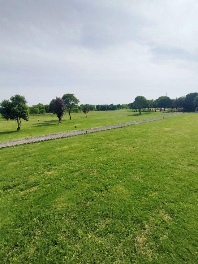 秦咸阳城咸阳宫国家考古遗址公园旅行图片 14