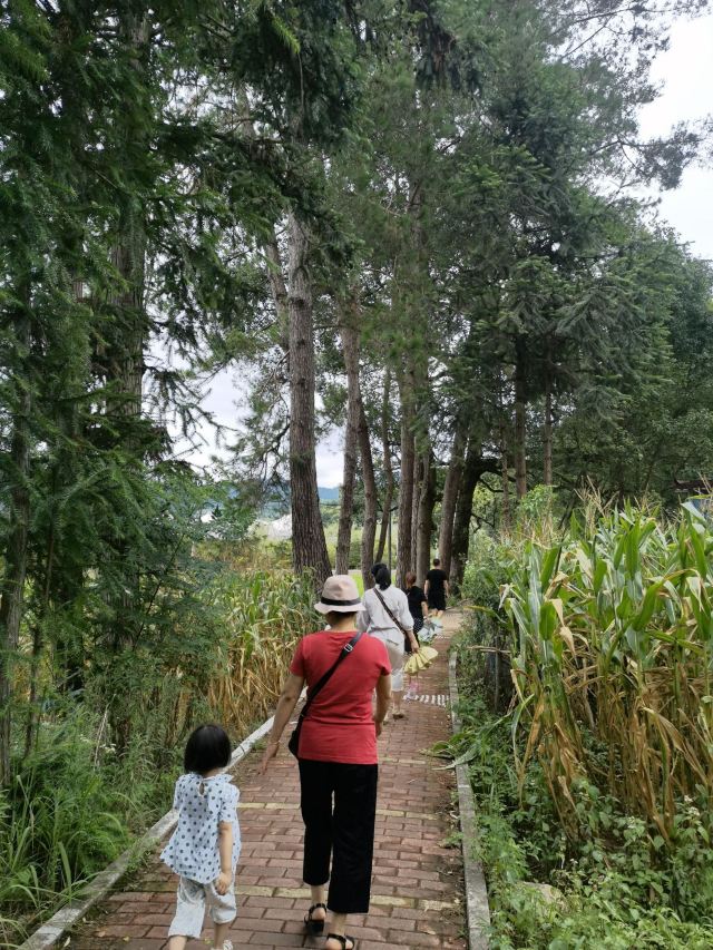 桂东植物园旅行图片 4