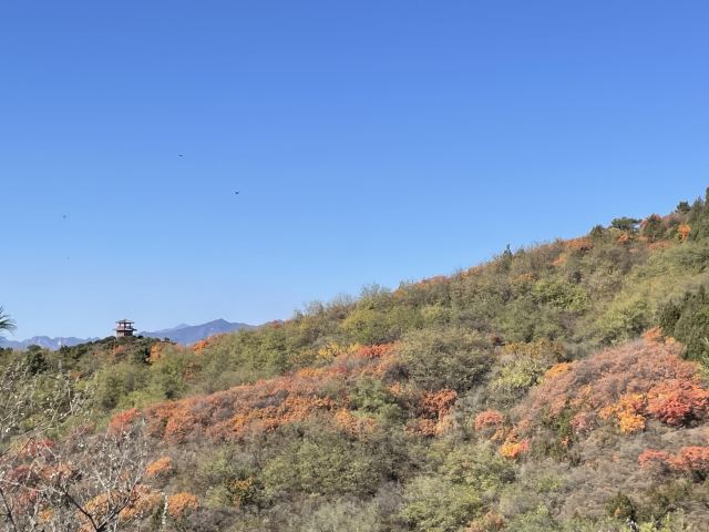 日光山谷旅行图片 11