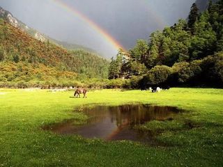 互助｜秋风十里，不如互助北山有你