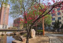小康河景点图片