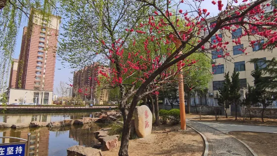 小康河