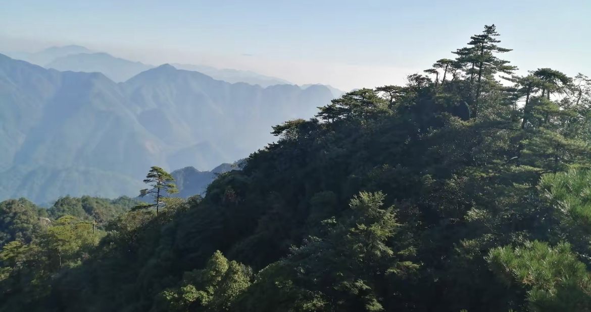 1-Day Gao'an Tour: The Zen atmosphere of Dayu Temple, the natural wonders of 800 Cave Paradise