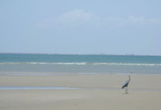 East Beach (R.A. Apffel)景点图片