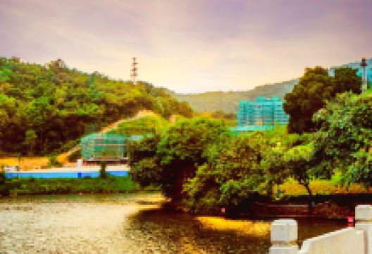 东湖公园景点图片