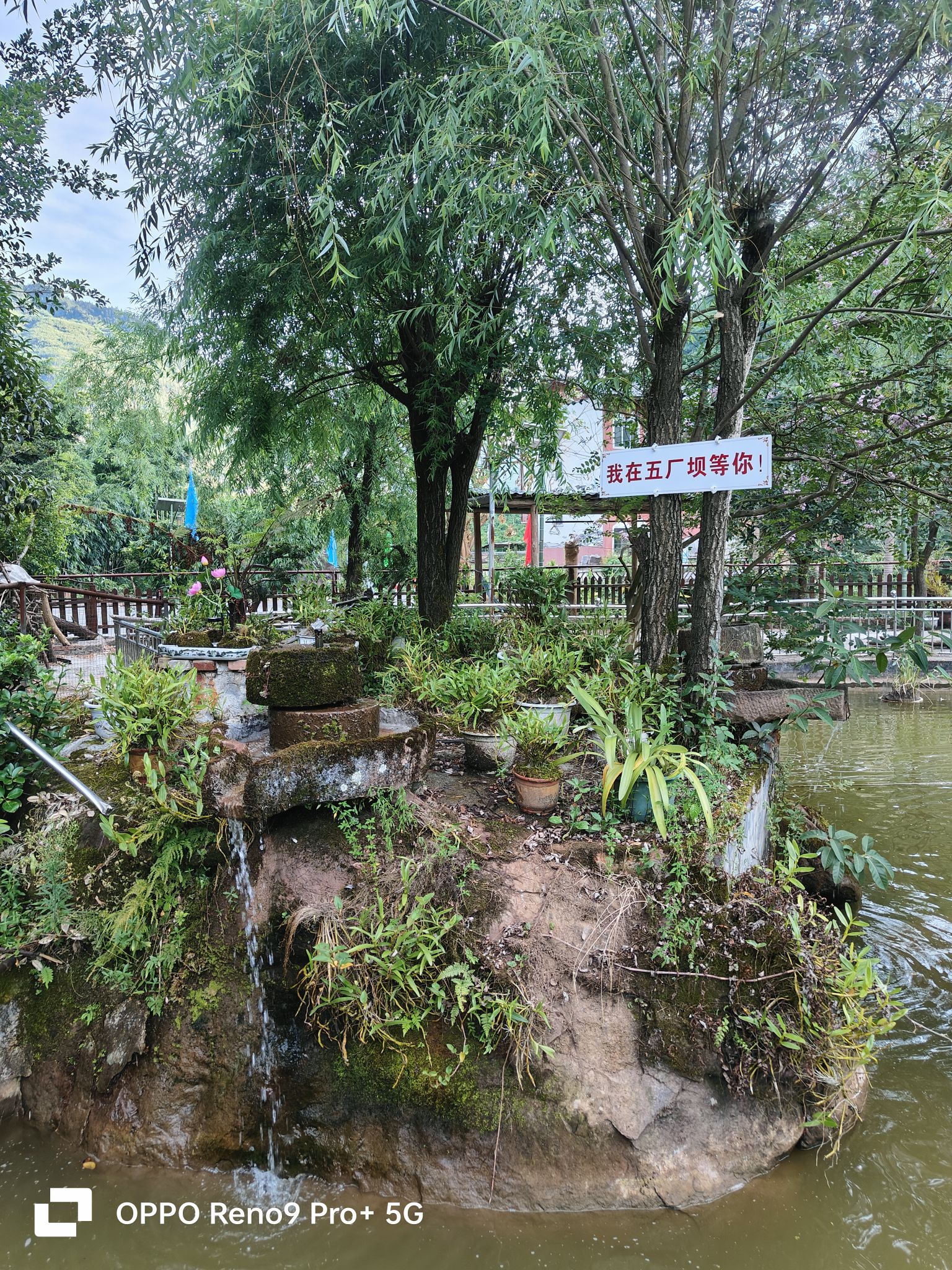 五厂坝休闲农庄餐厅图片