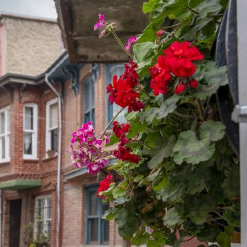 土耳其伊斯坦布尔+卡帕多奇亚+安塔利亚+费特希耶+棉花堡10日9晚自由行