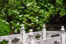 琼花观(文昌中路)-扬州