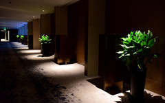 新郑游记图片] 园博园与园博园建国饭店一日游