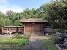 庄子祠-蒙城-大松树叶子