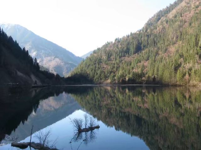 箭竹海下车点旅行图片 1
