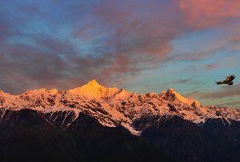梅里日照专线车【打卡人生照片+纯玩无购物】【[缤纷景点]日照金山·梅里雪山，攻略榜前五景点，带您玩转香格里拉！】