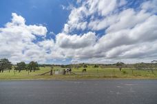 苏泊罕大草原旅游景区-伊金霍洛旗