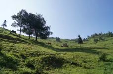 观音山森林公园-宣汉-滇国剑客