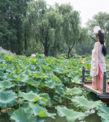太湖鼋头渚风景区/蠡园风景区游记图文-七月上，在无锡邂逅一场3天2晚盛夏清凉玩法
