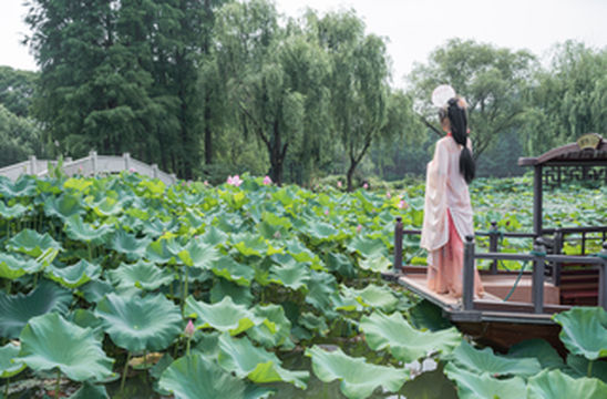 七月上，在无锡邂逅一场3天2晚盛夏清凉玩法
