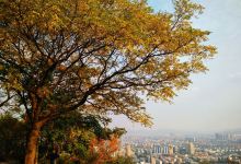 西山公园景点图片