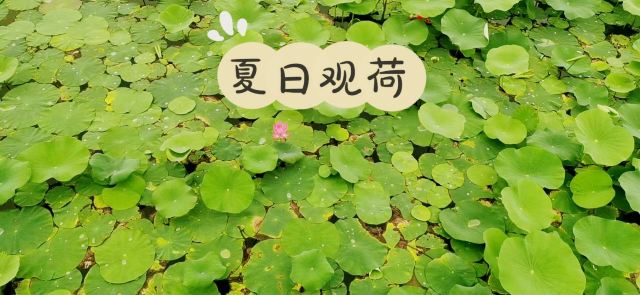 光年城中央公园旅行图片 1
