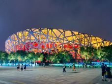 国家体育馆-北京-老鹰在飞翔