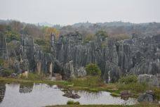 李子箐石林-石林-牛奶海