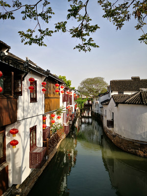 阳春三月姑苏行