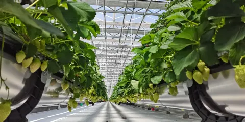 天佛風景名勝區